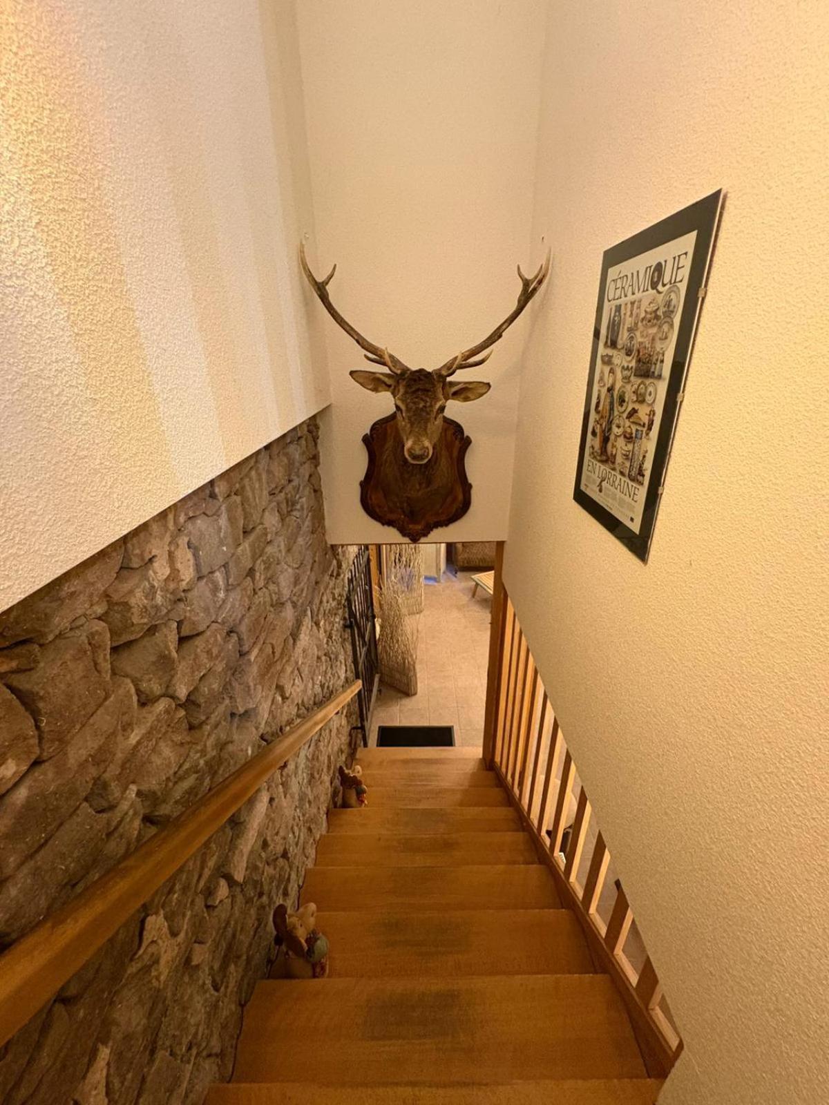 Auberge Du Ruxelier J&D Chenimenil Bagian luar foto